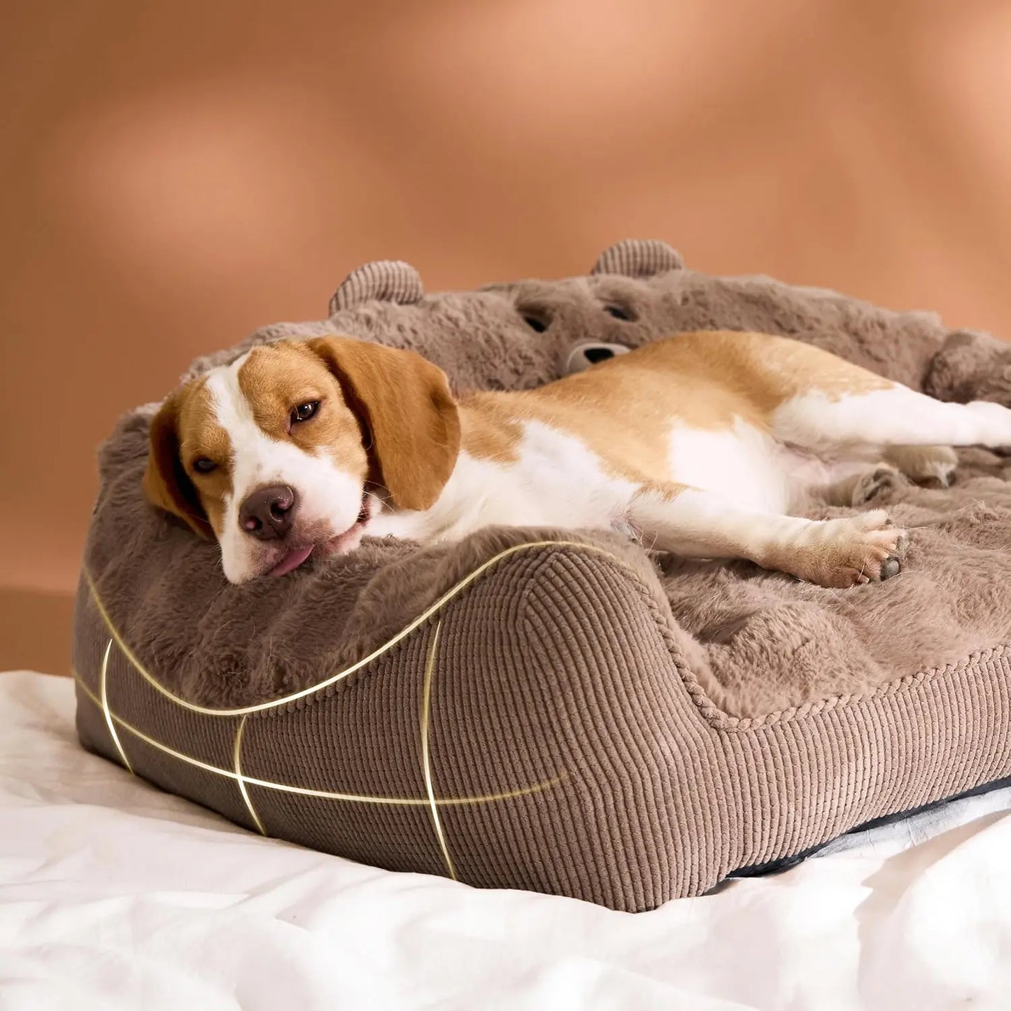 A furry pet bed designed by a primitive bear